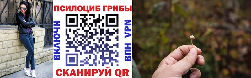 Псилоцибиновые грибы GOLDEN TEACHER  Дыгулыбгей 